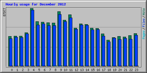 Hourly usage for December 2012